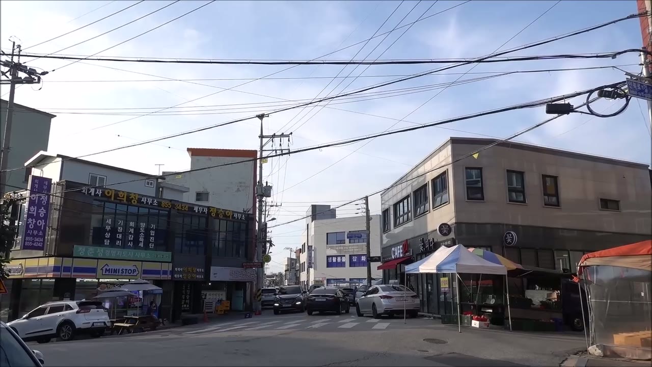 경장금 (1/2)