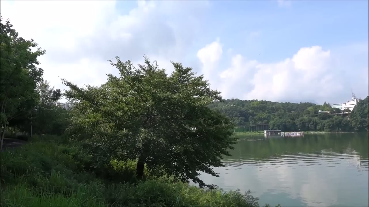 Guangchi Haejang-guk (1/2)
